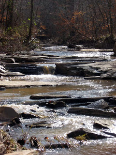 stevens creek